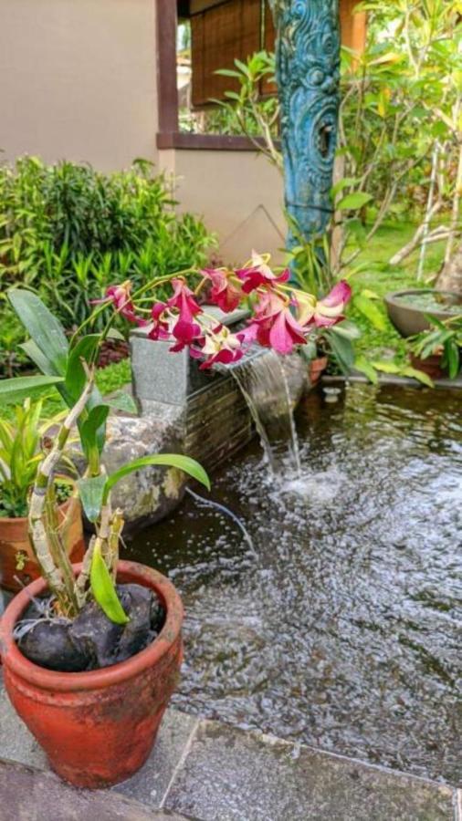مبيت وإفطار أوبود إندرابراسثا 2 بنجالو المظهر الخارجي الصورة